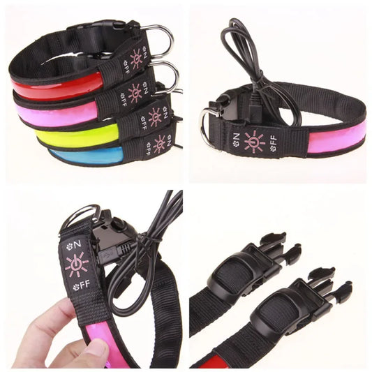 USB Rechargeable Glow Pet Safety Collar