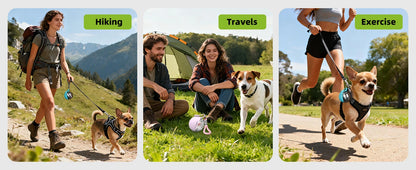 2-in-1 Portable Dog Water Bottle with Silicone Bowl – Leak-Proof Stainless Steel Travel Bottle for Small Dogs