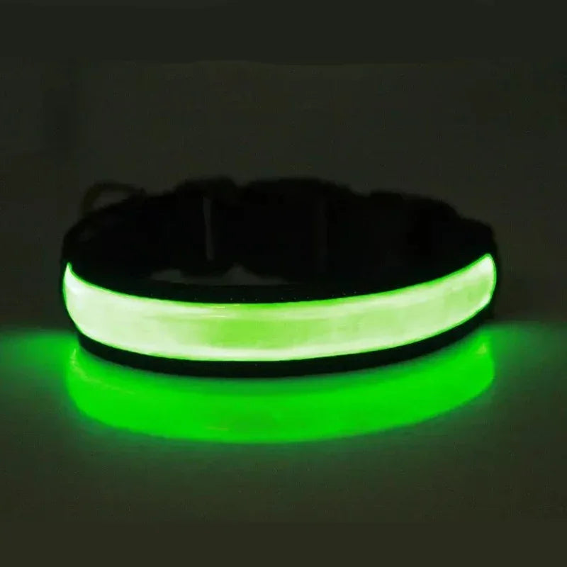 USB Rechargeable Glow Pet Safety Collar