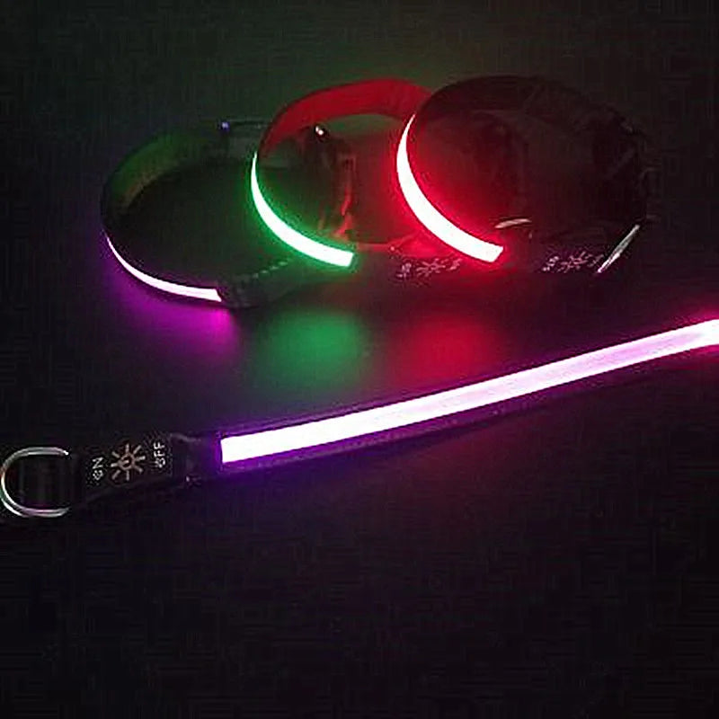 USB Rechargeable Glow Pet Safety Collar