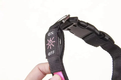 USB Rechargeable Glow Pet Safety Collar