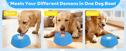Non-Slip Digestion Support Slow Feeder Dog Bowl