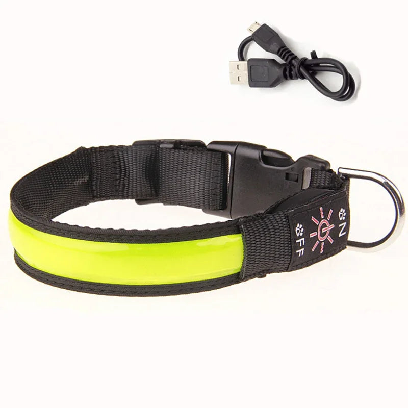 USB Rechargeable Glow Pet Safety Collar
