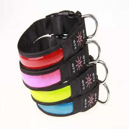 USB Rechargeable Glow Pet Safety Collar