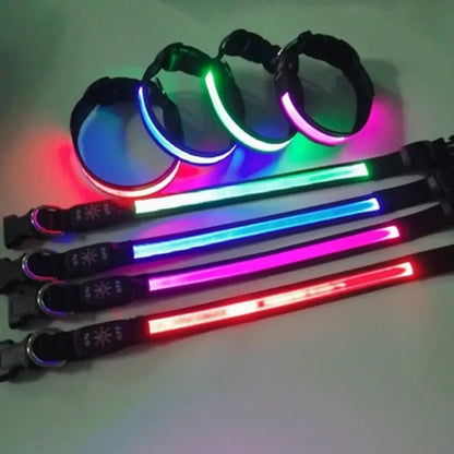 USB Rechargeable Glow Pet Safety Collar