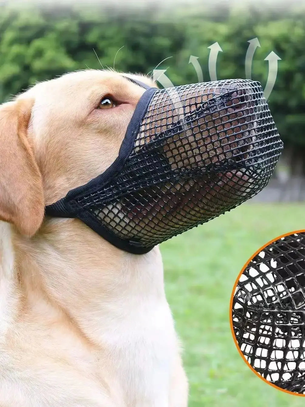 Breathable Dog Mouth Mask | Safe Walking & Training