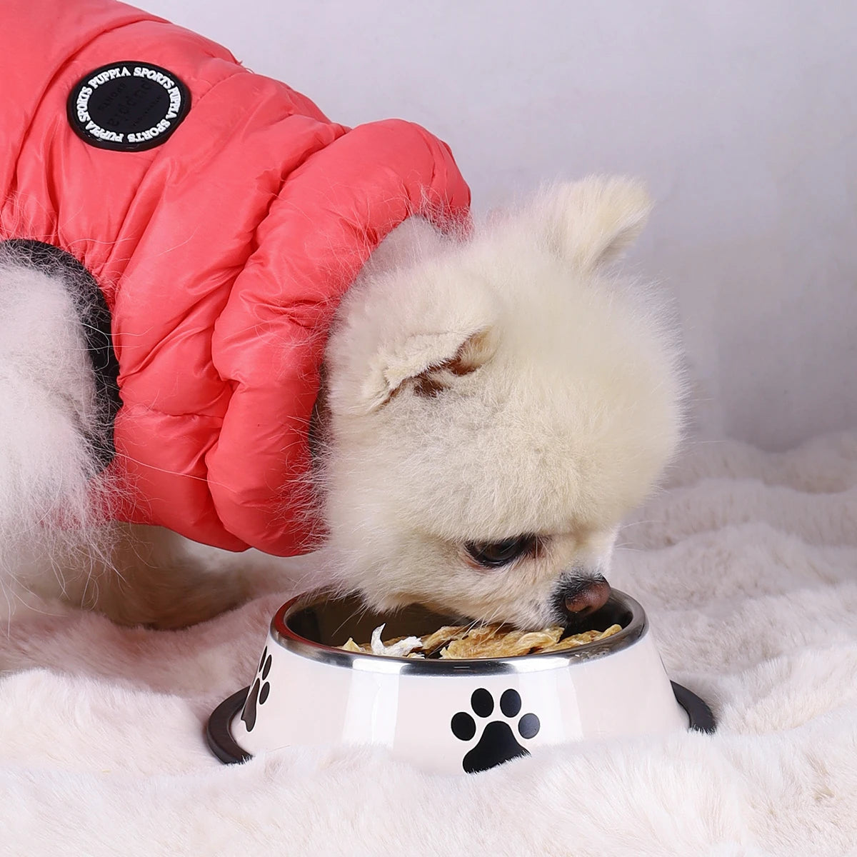 1PC Stainless Steel Pet Bowl Cat Bowl Dog Food Bowl Multi-Specification Anti-fall Food Bowl Food Bowl Feeding Pet Supplies