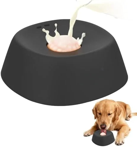 Non-Slip Digestion Support Slow Feeder Dog Bowl