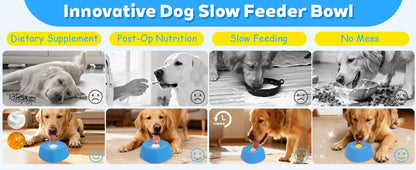 Non-Slip Digestion Support Slow Feeder Dog Bowl