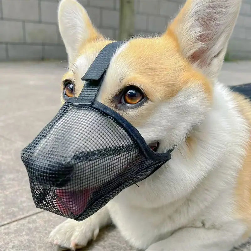 Breathable Dog Mouth Mask | Safe Walking & Training