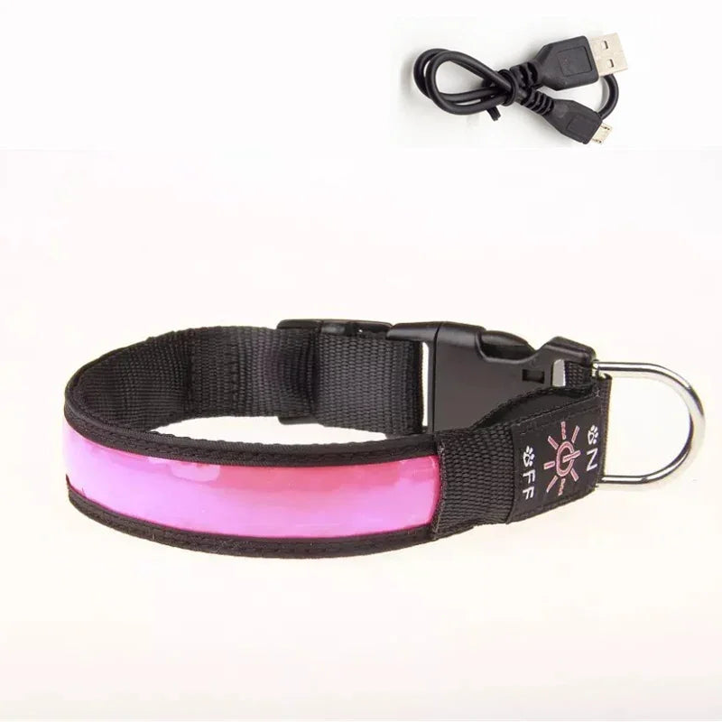 USB Rechargeable Glow Pet Safety Collar