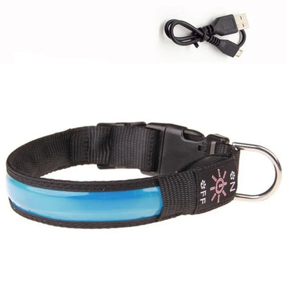 USB Rechargeable Glow Pet Safety Collar