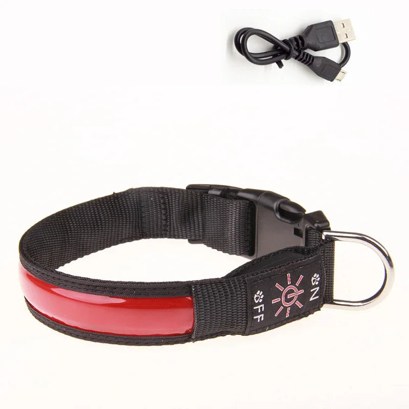 USB Rechargeable Glow Pet Safety Collar