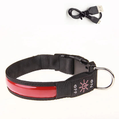 USB Rechargeable Glow Pet Safety Collar