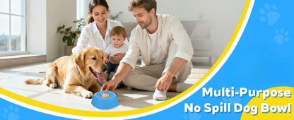 Non-Slip Digestion Support Slow Feeder Dog Bowl