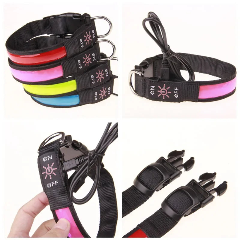 USB Rechargeable Glow Pet Safety Collar